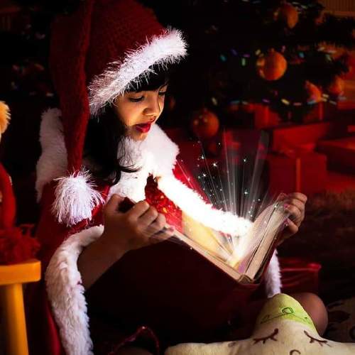 Photo #3564685