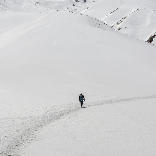 Фотография #3564919