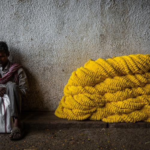 Фотография #3564974