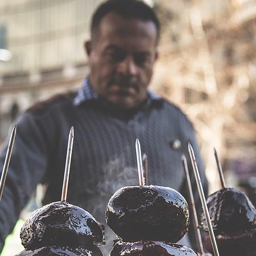 Photo #3565010