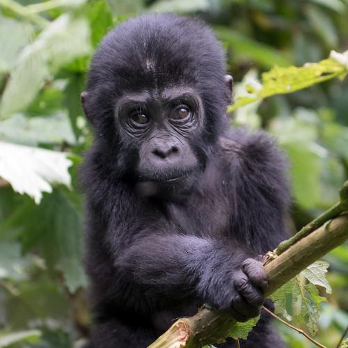 Photo #3565036