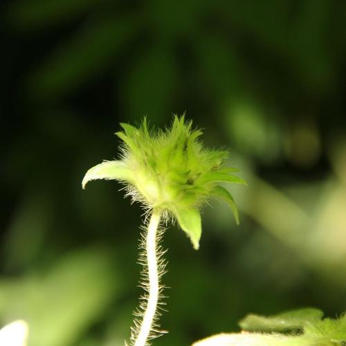 Photo #3565143