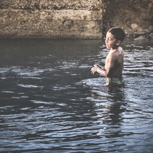 Photo #3565183