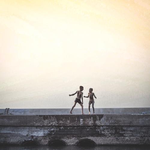 Photo #3565184