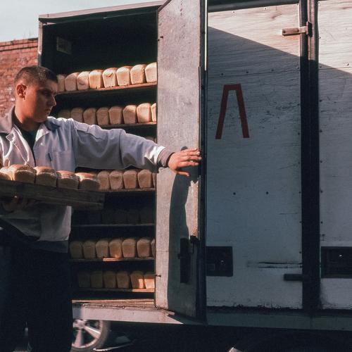 Photo #3565480