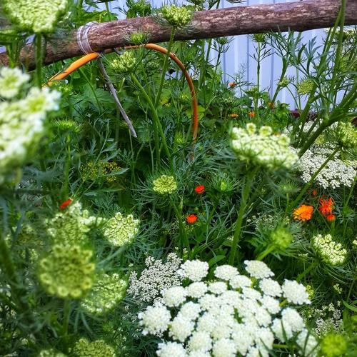 Photo #3565524