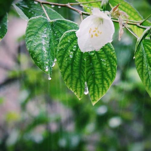 Photo #3565580