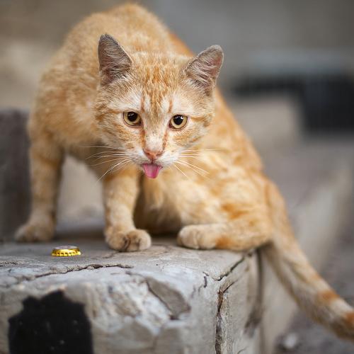Photo #3565903