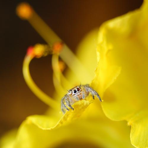 Photo #3565947