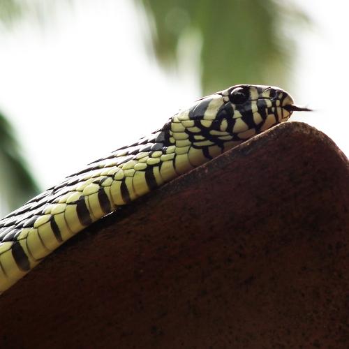 Photo #3565980