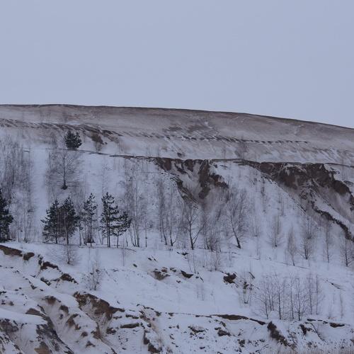 Photo #3566366