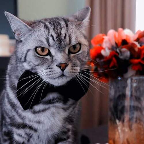 Photo #3566403