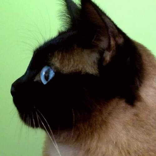 Photo #3566404