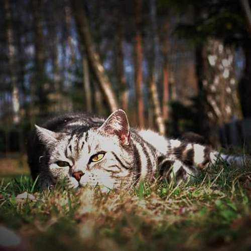 Photo #3566405