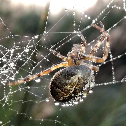 Photo #3566474