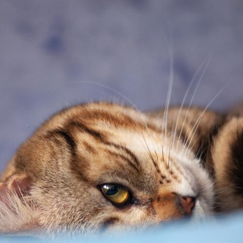 Photo #3566526