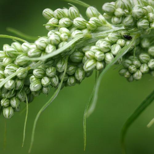 Photo #3566581