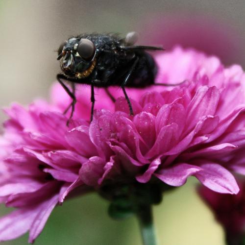 Photo #3566728