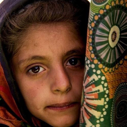 Photo #3566846