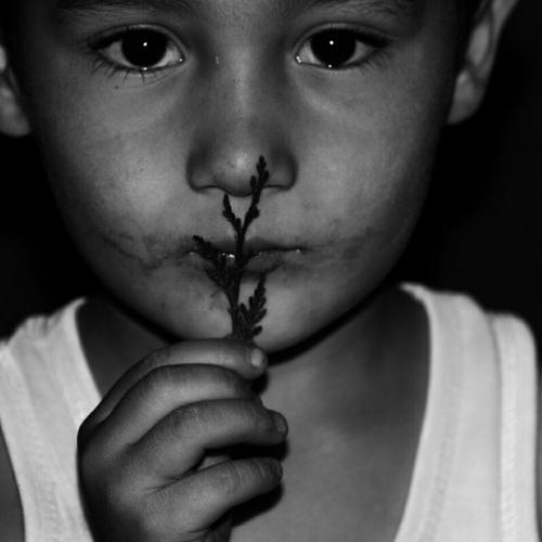 Photo #3566849