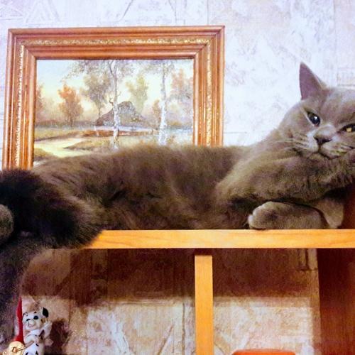 Photo #3566942