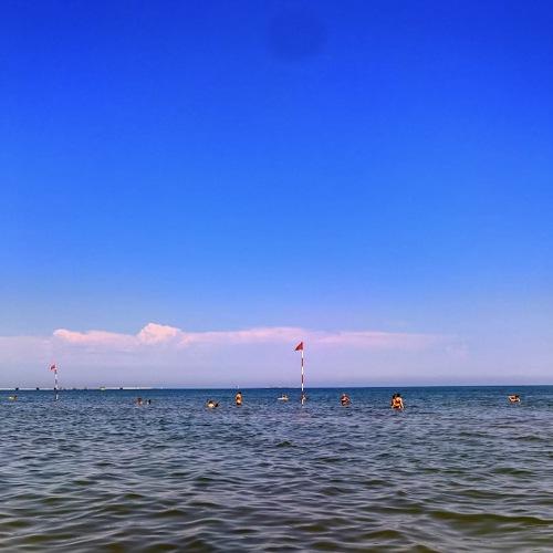 Photo #3567134