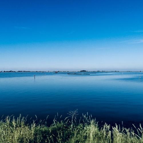 Photo #3567135