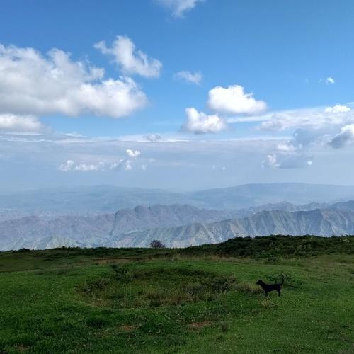 Photo #3567162