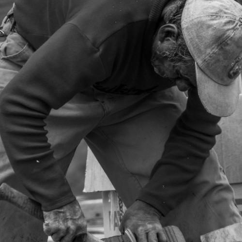 Photo #3567173