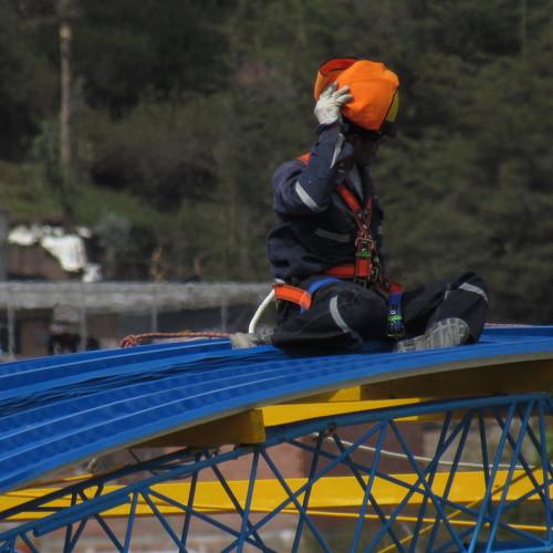 Photo #3567175