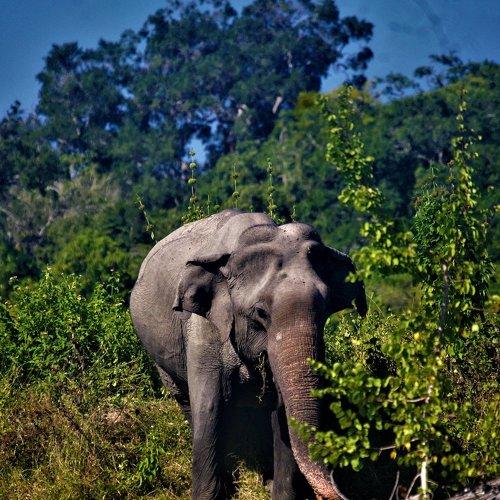 Photo #3567202