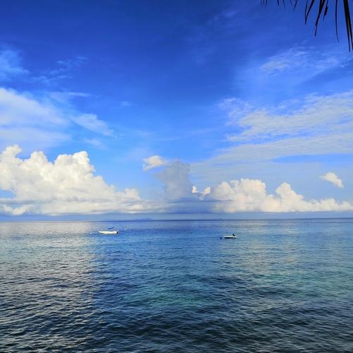 Blue Horizon