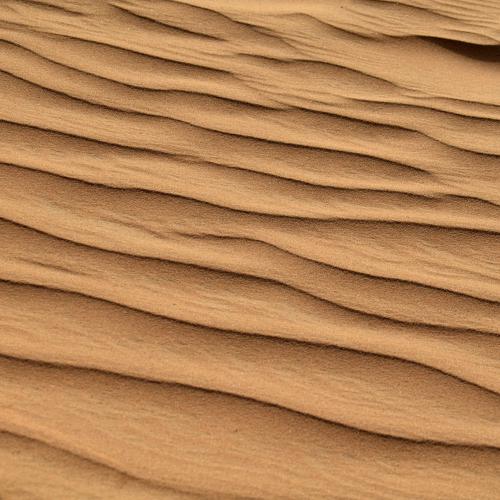 Photo #3567635