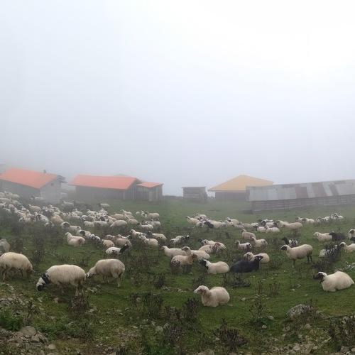 Photo #3567677
