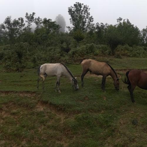 Photo #3567682