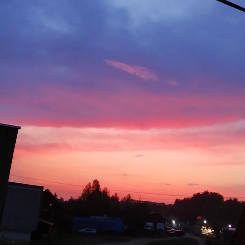 Photo #3567754