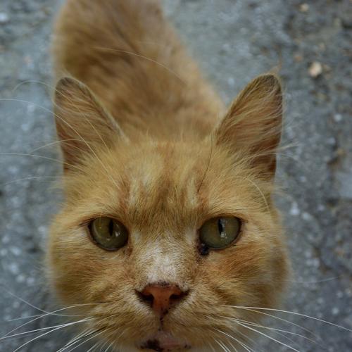 Photo #3567774