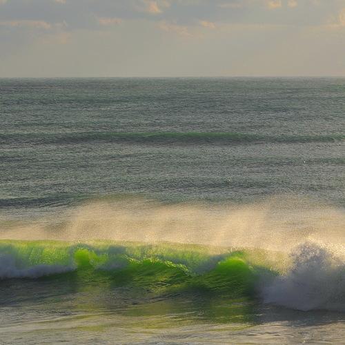 Photo #3567785