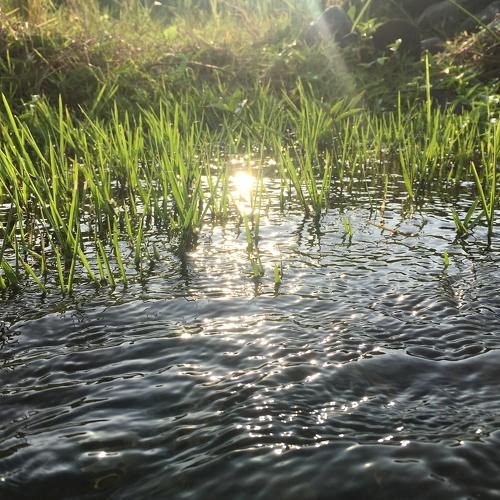 Photo #3567857