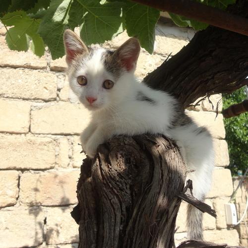 Photo #3567902
