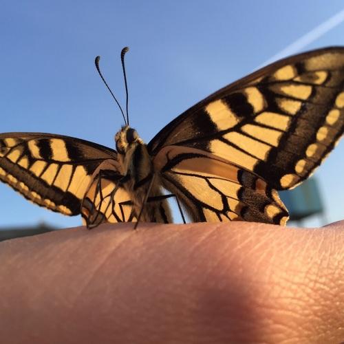 Photo #3567936