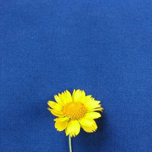 Photo #3567956