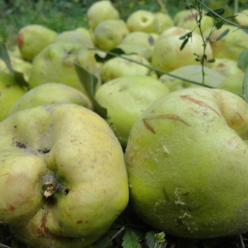 Photo #3567978
