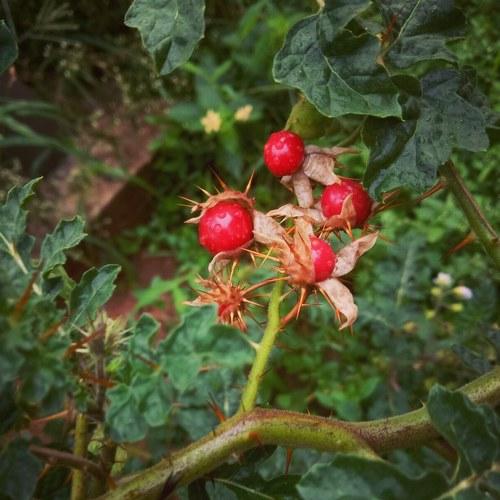Photo #3567990