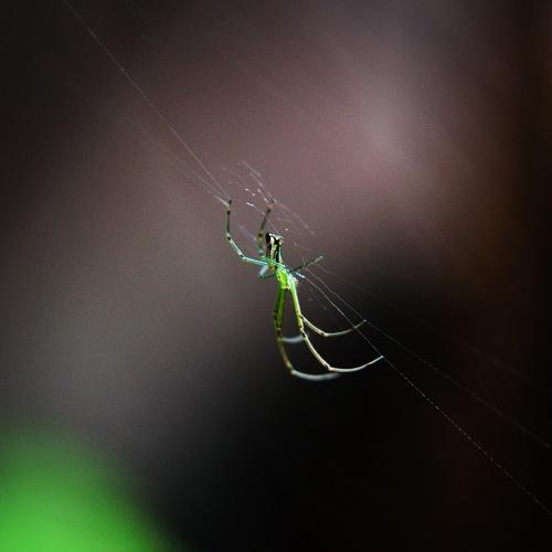 Photo #3568107
