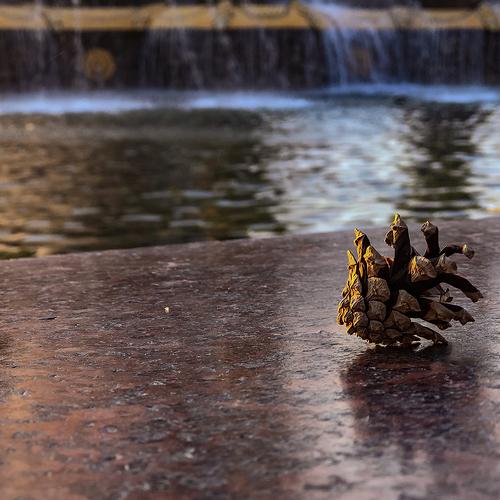 Photo #3568128