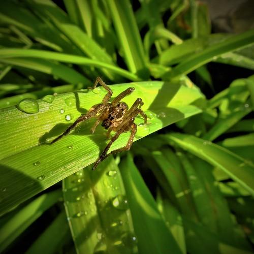 Photo #3568181