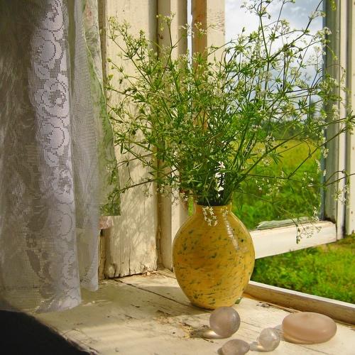 Photo #3568191