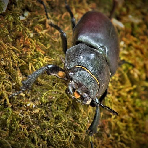 Photo #3568212