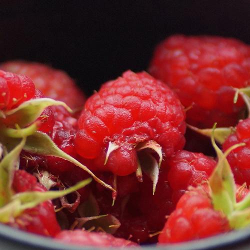 Photo #3568282
